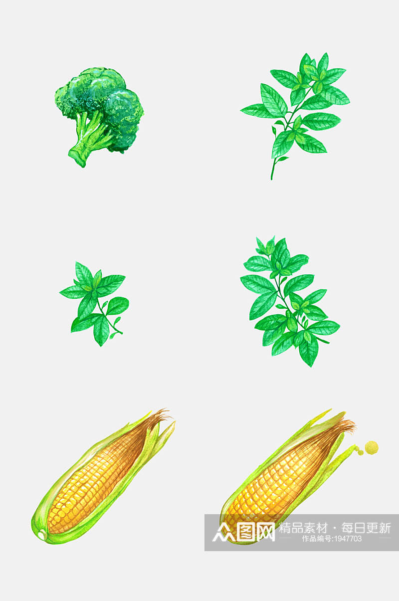 玉米西蓝花蔬菜设计元素素材
