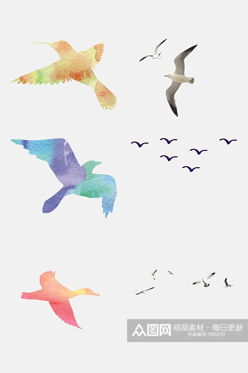 水彩风鸟类海鸥免抠设计元素素材