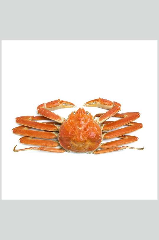 煮熟螃蟹蟹类海鲜摄影图