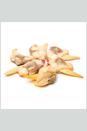 螺肉新鲜螺贝类带壳类美食摄影图片
