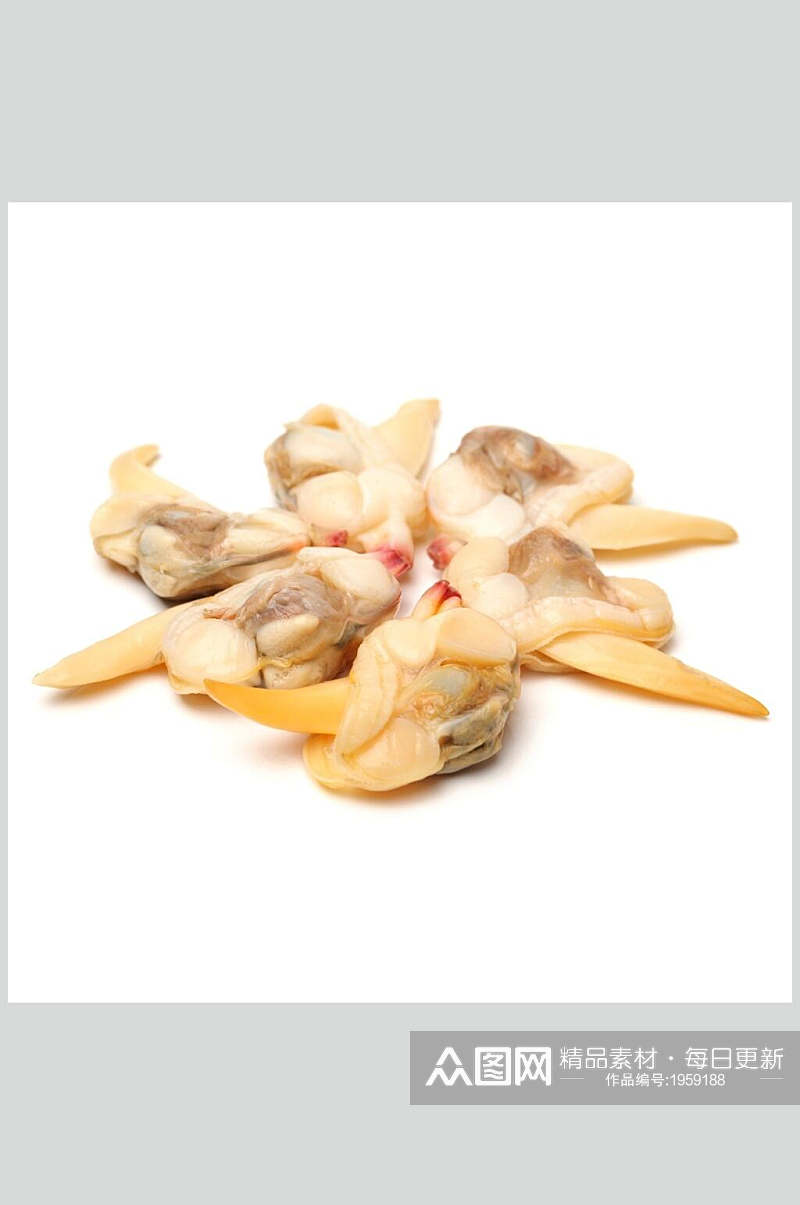 螺肉新鲜螺贝类带壳类美食摄影图片素材