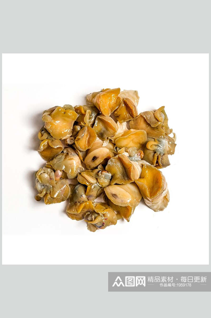 螺肉螺贝类带壳类美食摄影图片素材