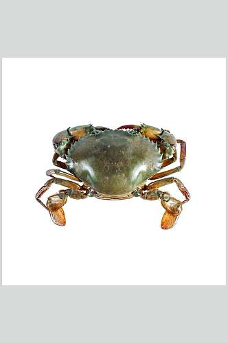 青蟹螃蟹蟹类海鲜美食摄影图片