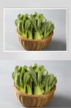 小青菜蔬菜高清图片