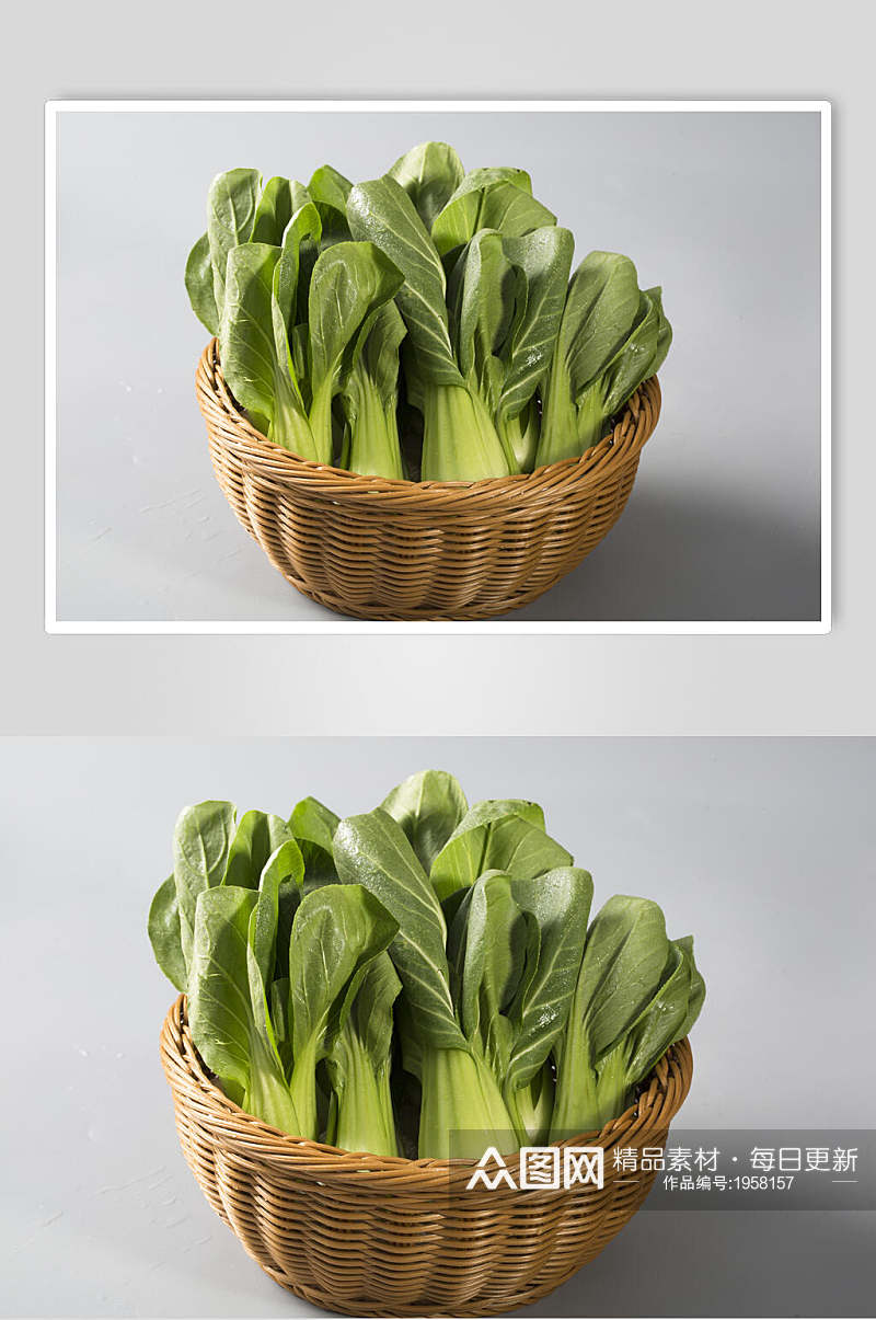 小青菜蔬菜高清图片素材