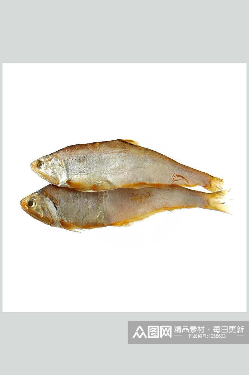海鲜黄姑鱼摄影图素材