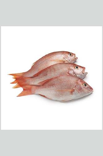 铜盆鱼海鲜摄影图