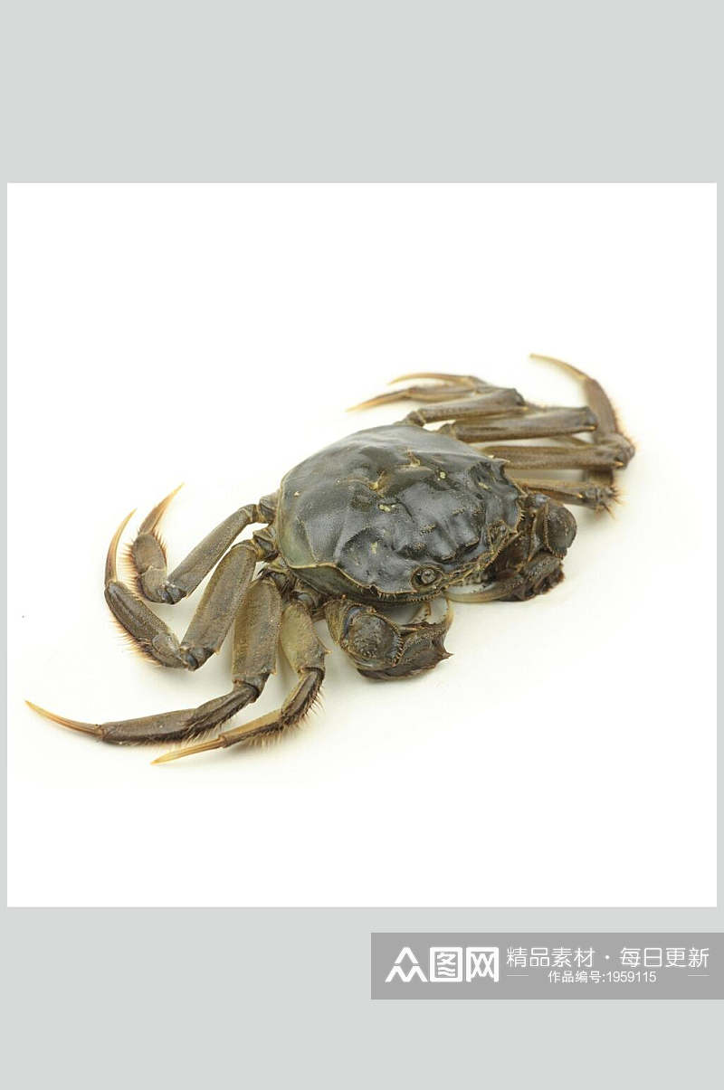 青蟹蟹类海鲜食品图片素材
