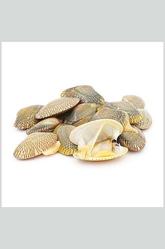 新鲜美味螺贝类带壳类食品图片