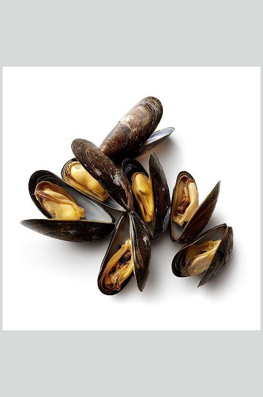 河蚌螺贝类带壳类食品高清图片
