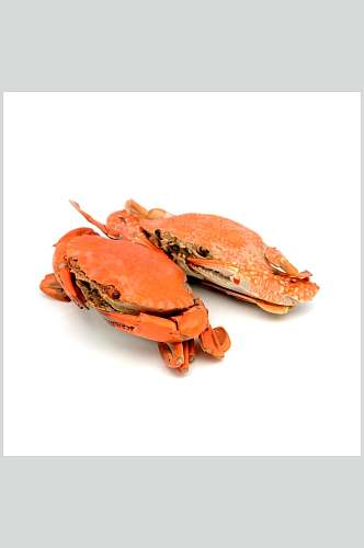 新鲜美味大闸蟹蟹类海鲜摄影图片