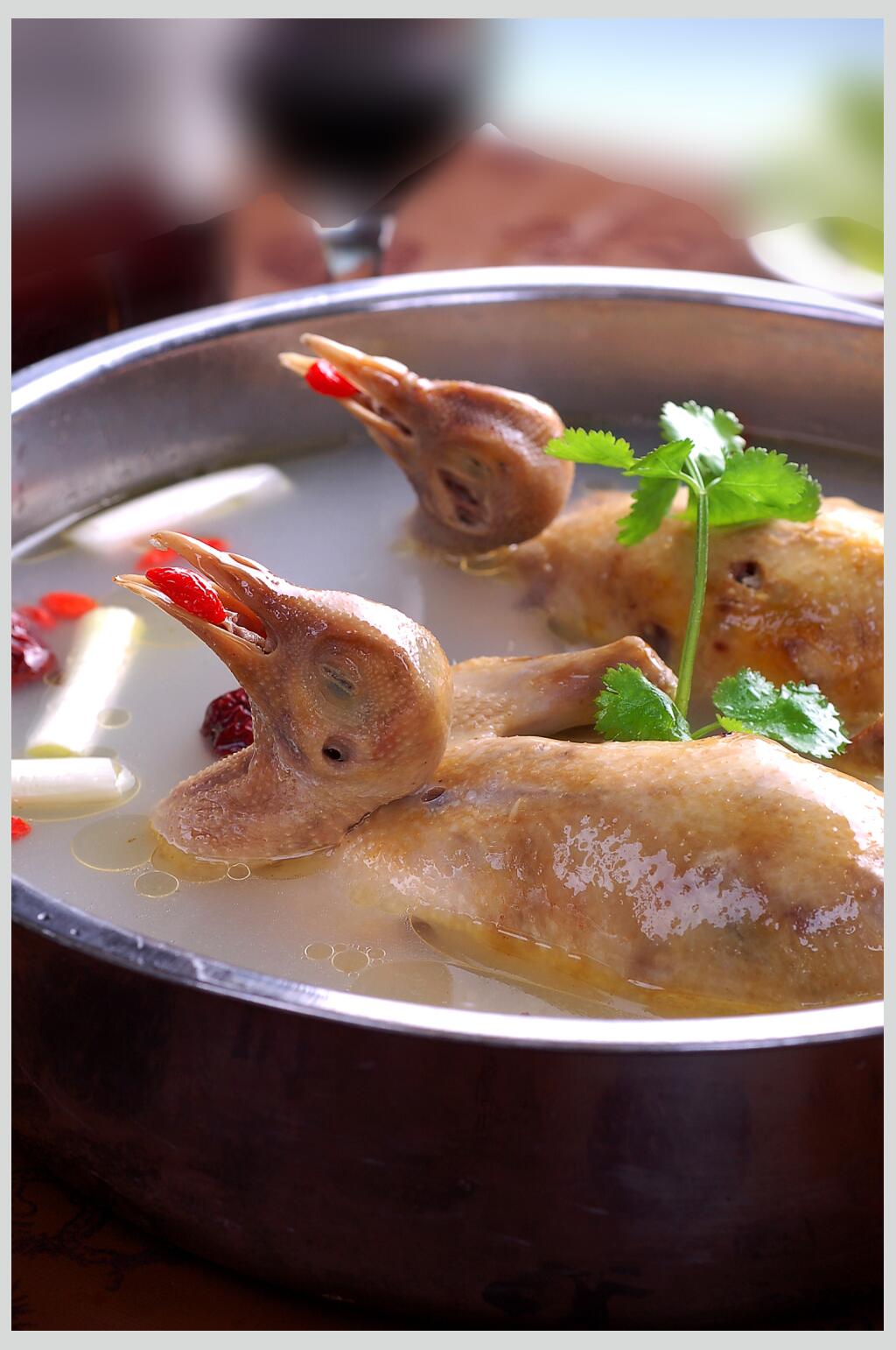煲仔天麻乳鸽煲摄影图片素材