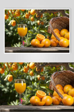 黄色橙子果汁摄影图片
