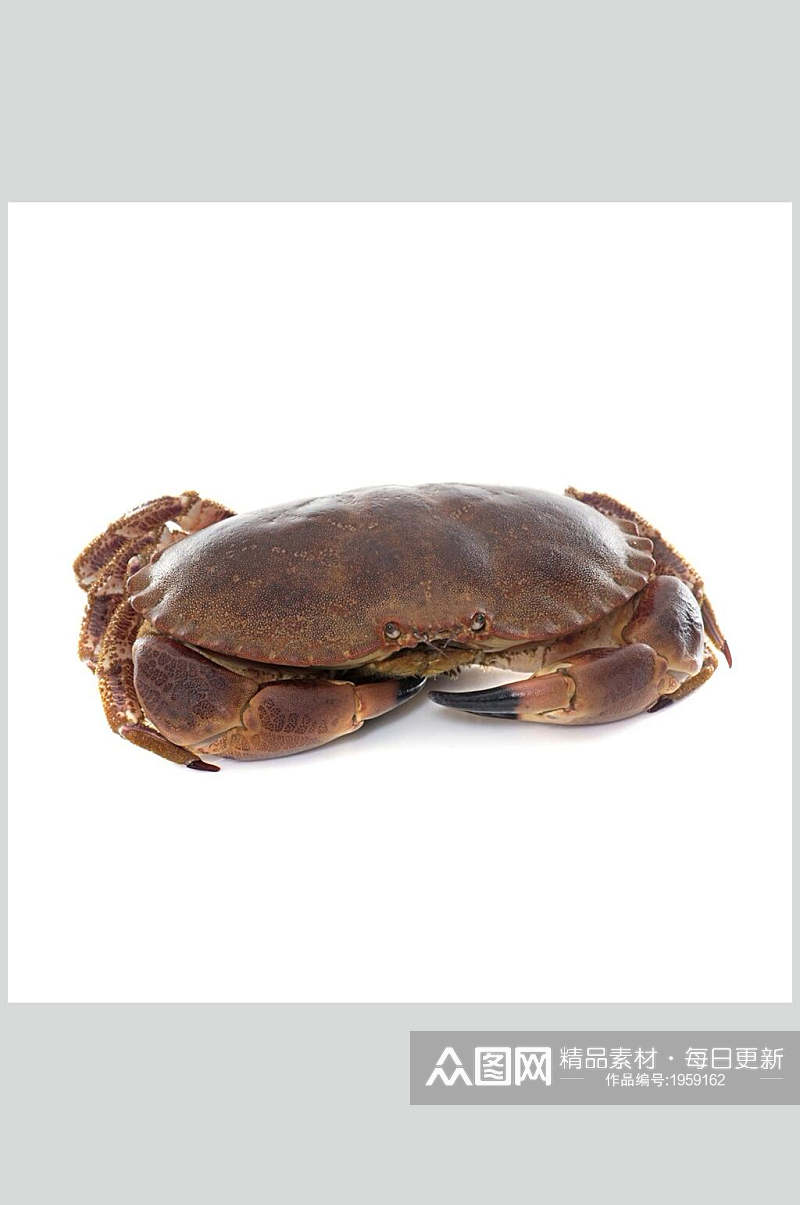 面包蟹蟹类海鲜食品高清图片素材