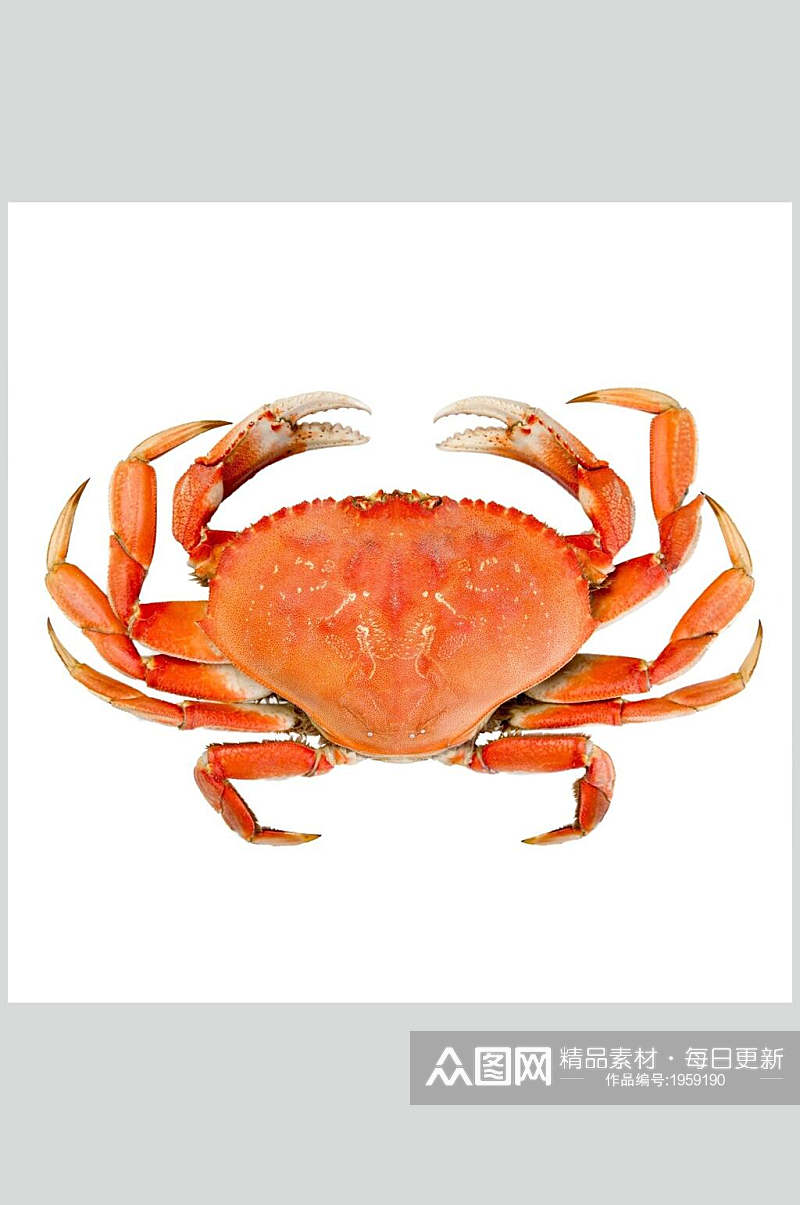 大闸蟹蟹类海鲜美食摄影图片素材