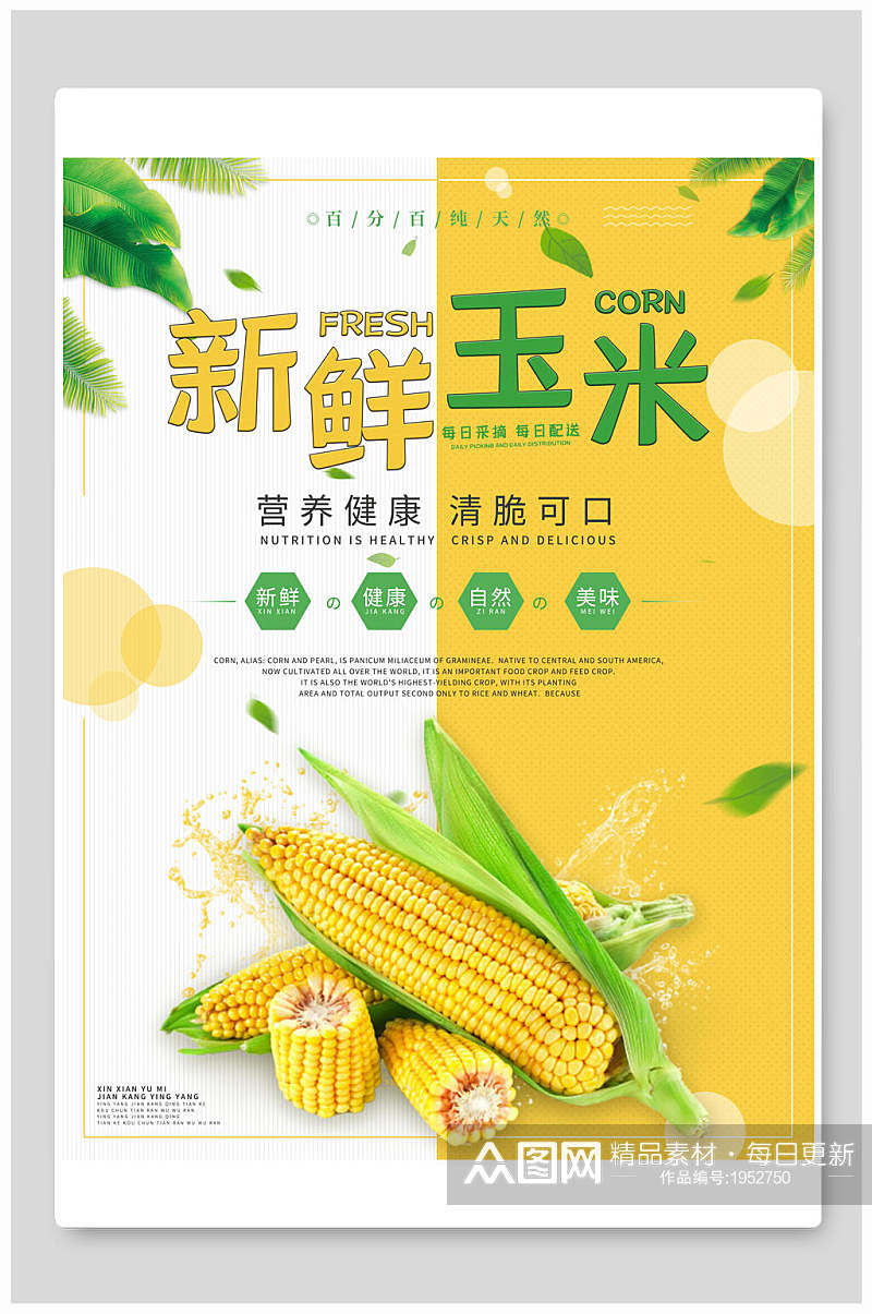 清新新鲜玉米美食海报素材