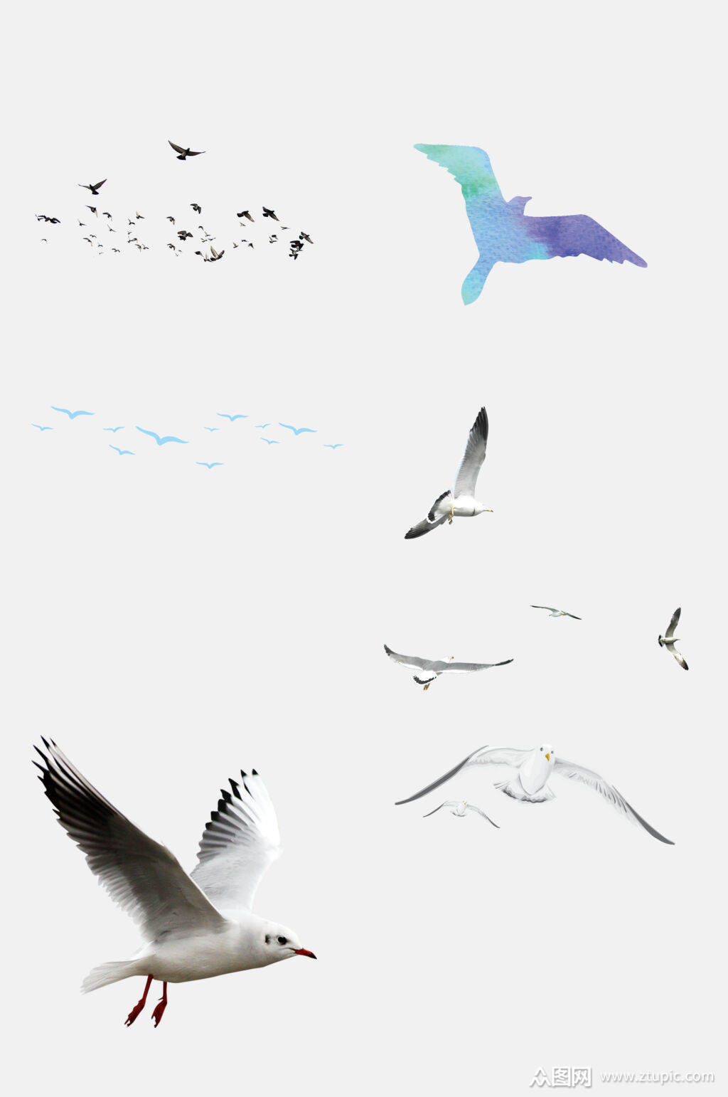 简约鸟类海鸥免抠设计元素素材
