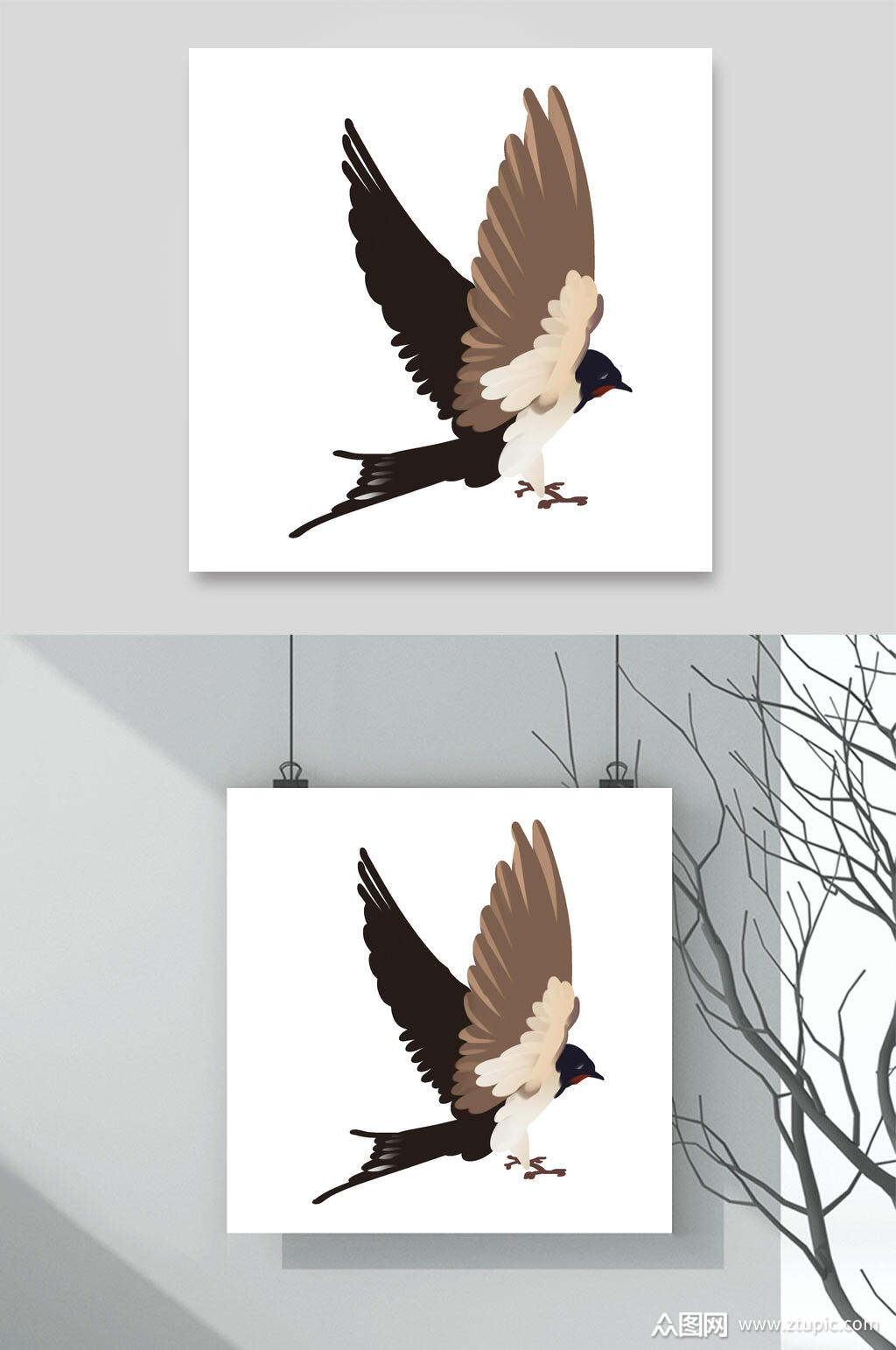 简约春天春季燕子素材