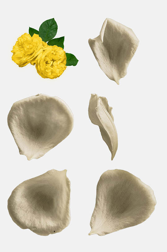 白色花背景图片 白色花背景设计素材 白色花背景模板下载 众图网