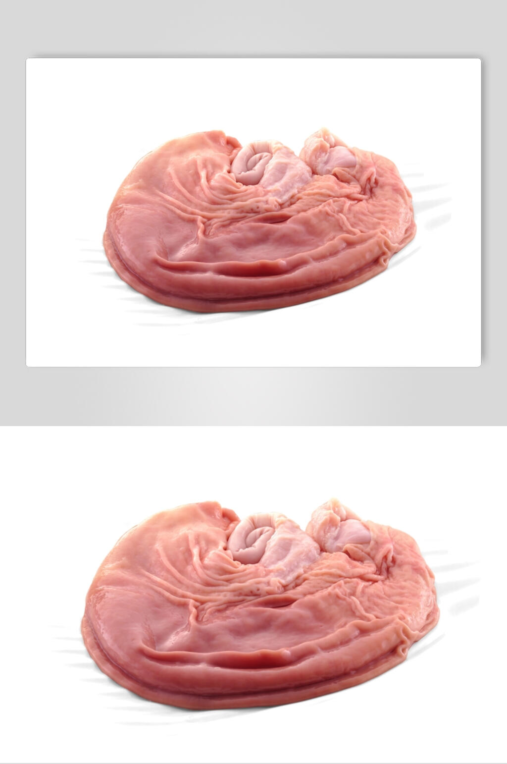 猪肉猪肚摄影图片素材