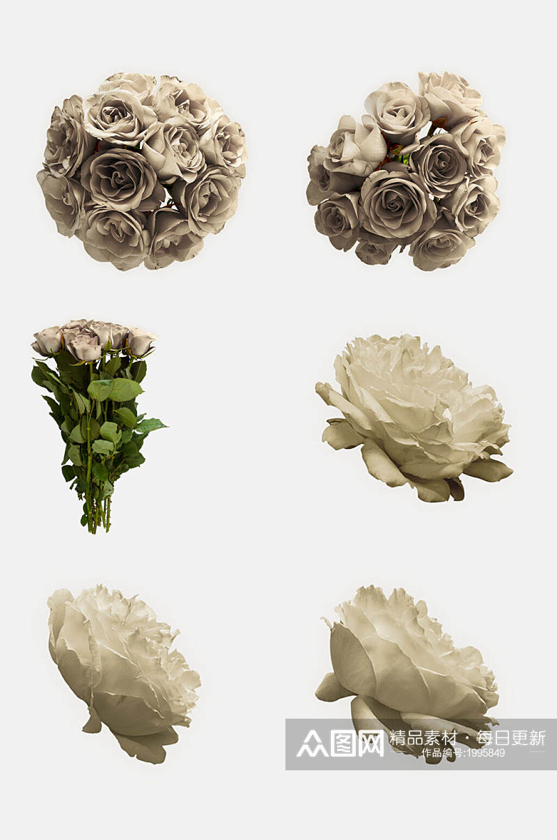 白色玫瑰花瓣免抠元素素材素材