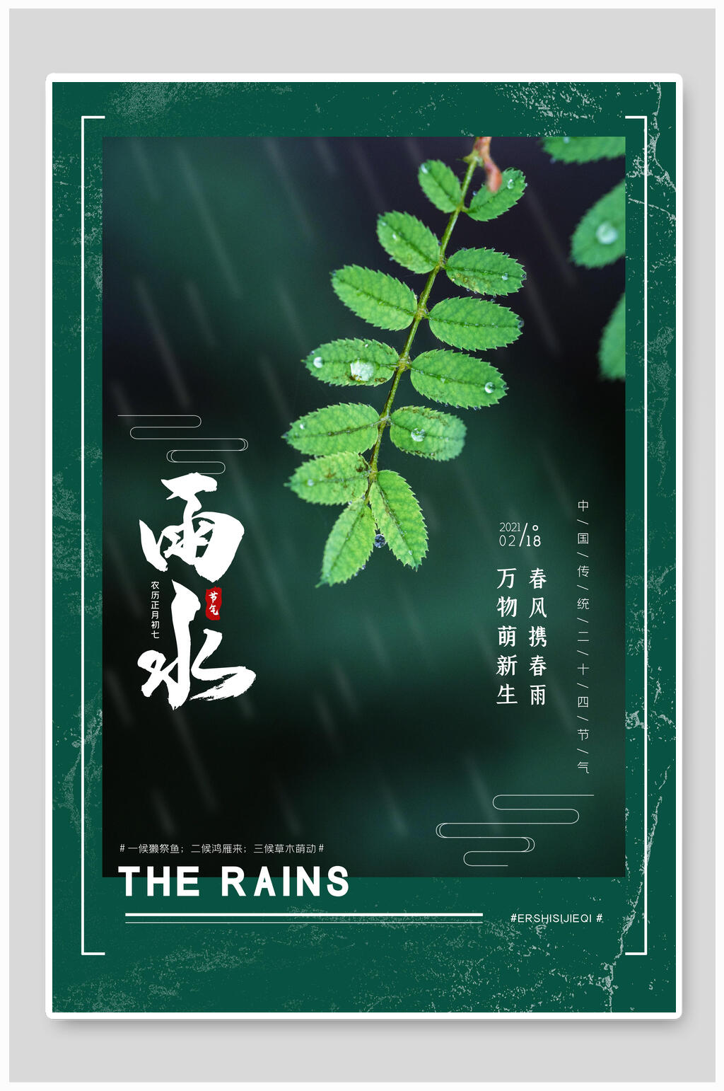绿色植物雨水海报素材