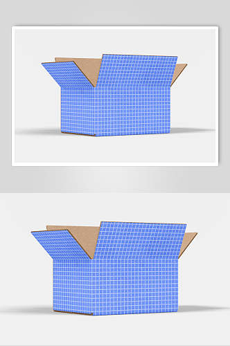 蓝色小田字格纸箱样机