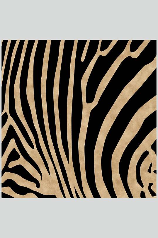 黑金动物毛皮纹理贴图高清图片