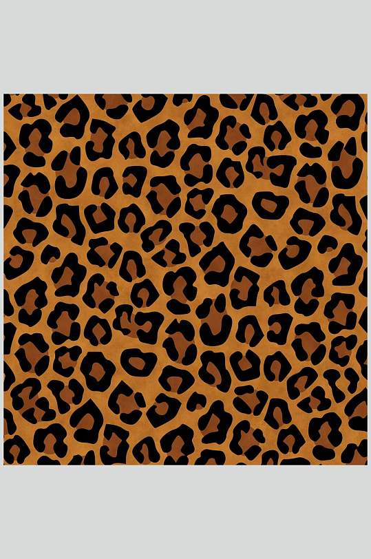 豹纹动物毛皮纹理贴图图片