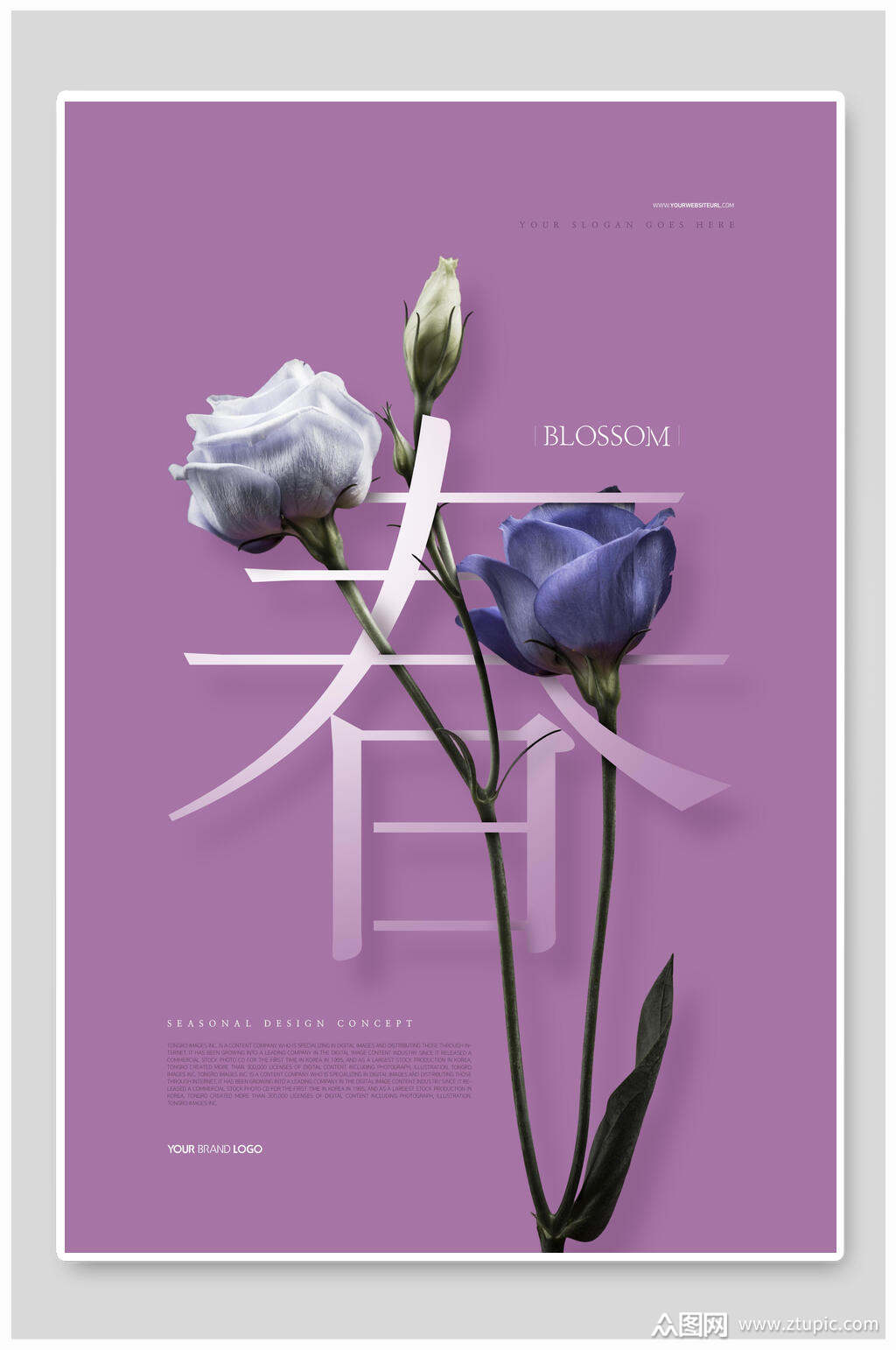 紫色浪漫植物花卉春季海报