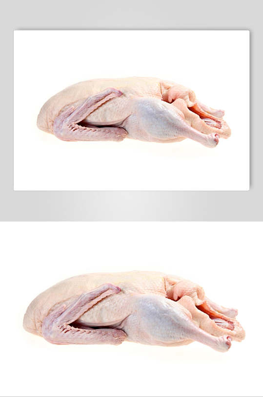 整只去毛鸭子摄影图片