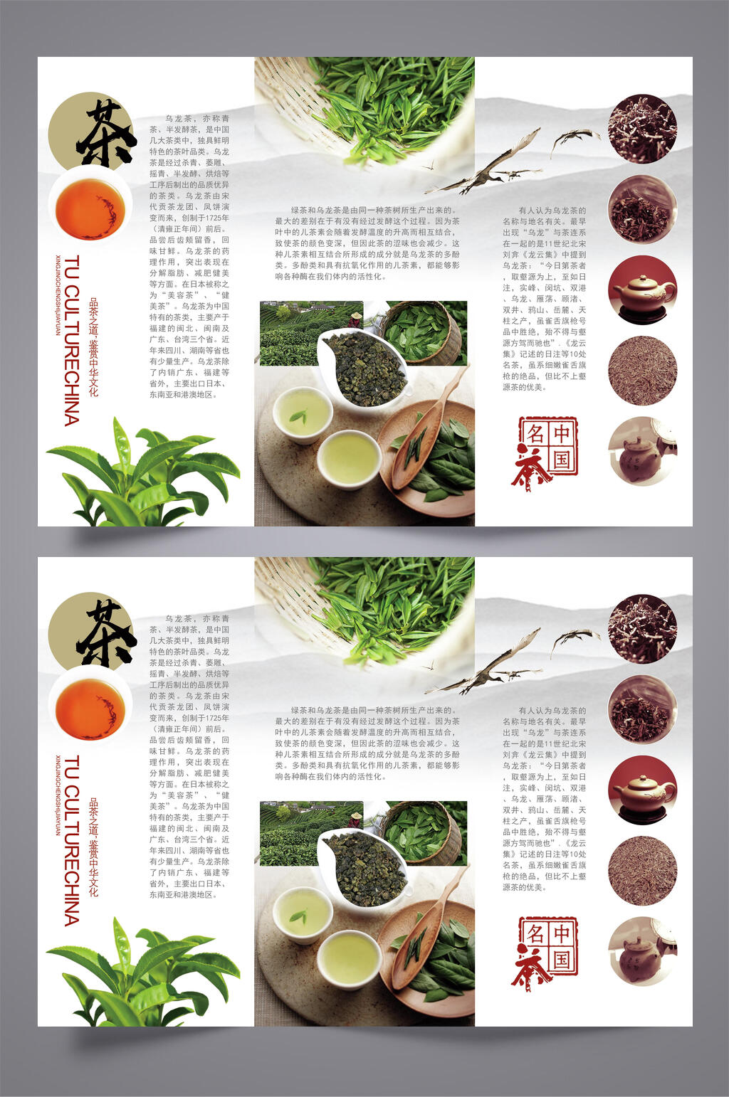 中国名茶宣传绿色三折页素材