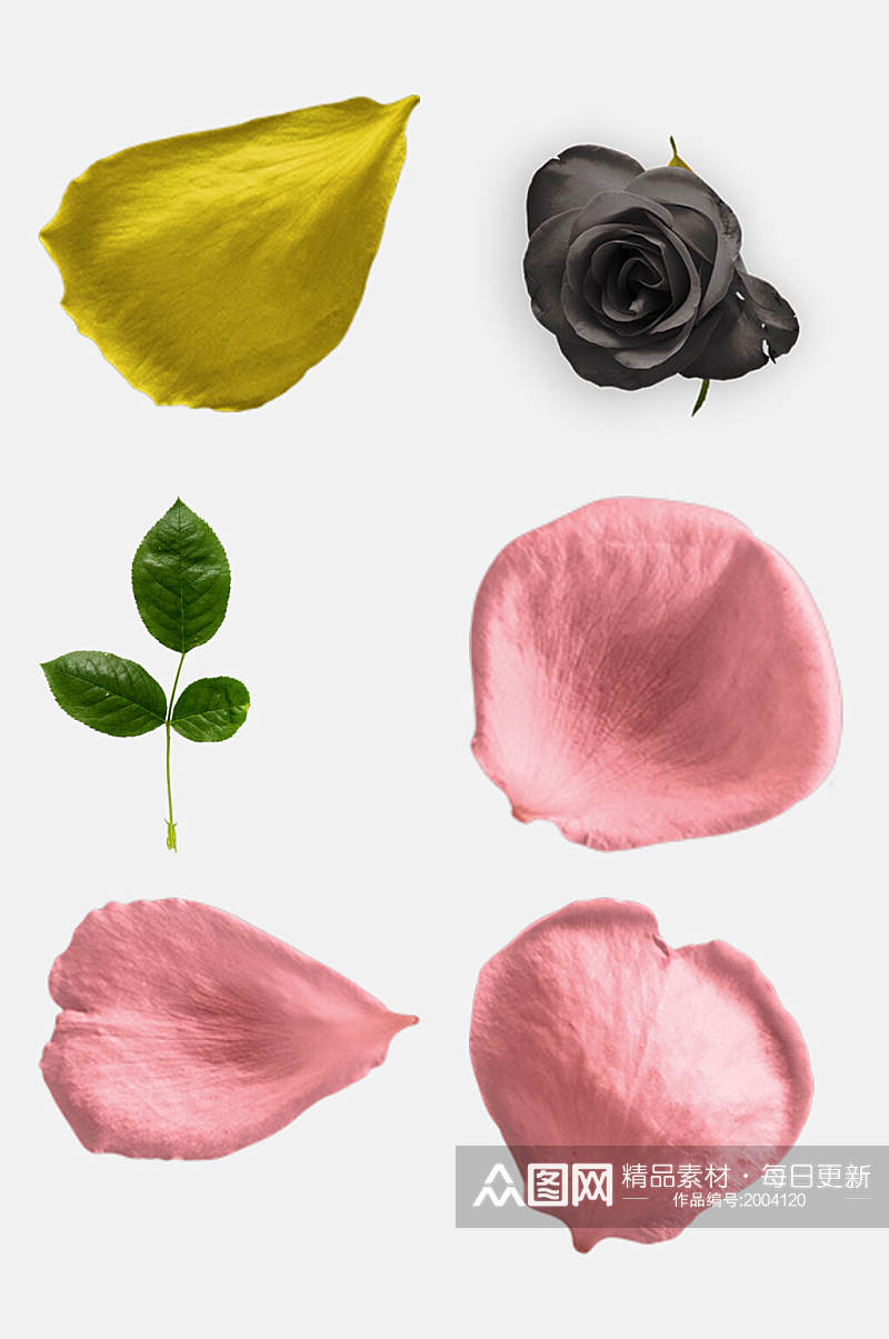 粉色花瓣玫瑰花花朵免抠元素素材
