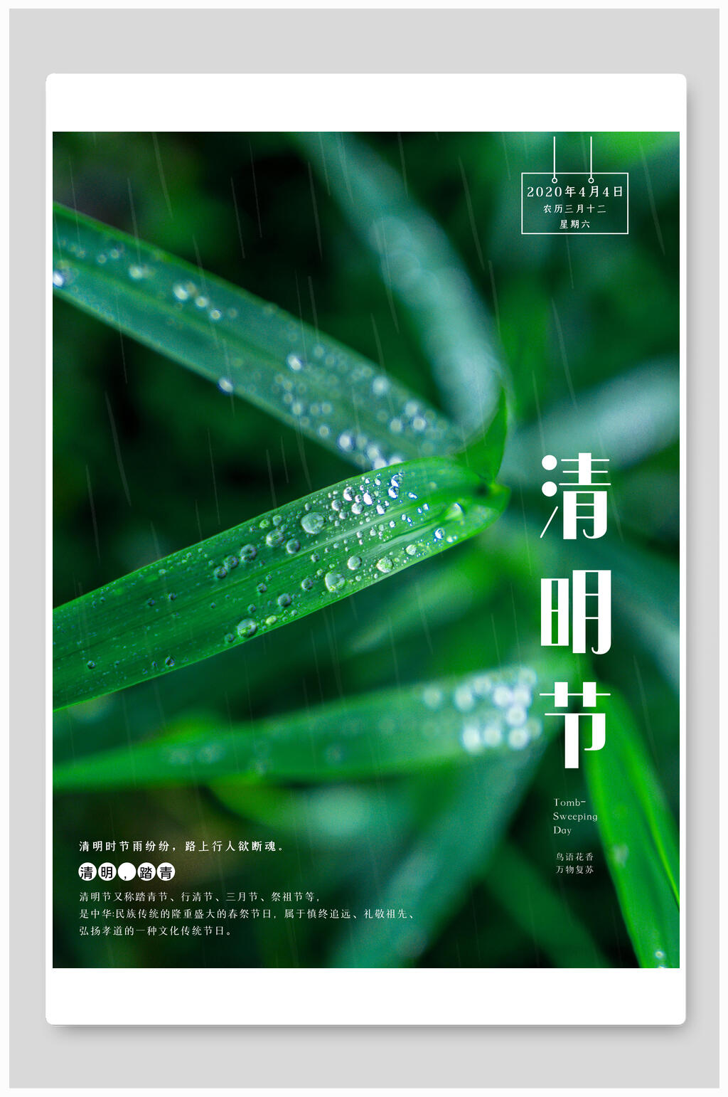 雨纷纷清明节踏青海报素材