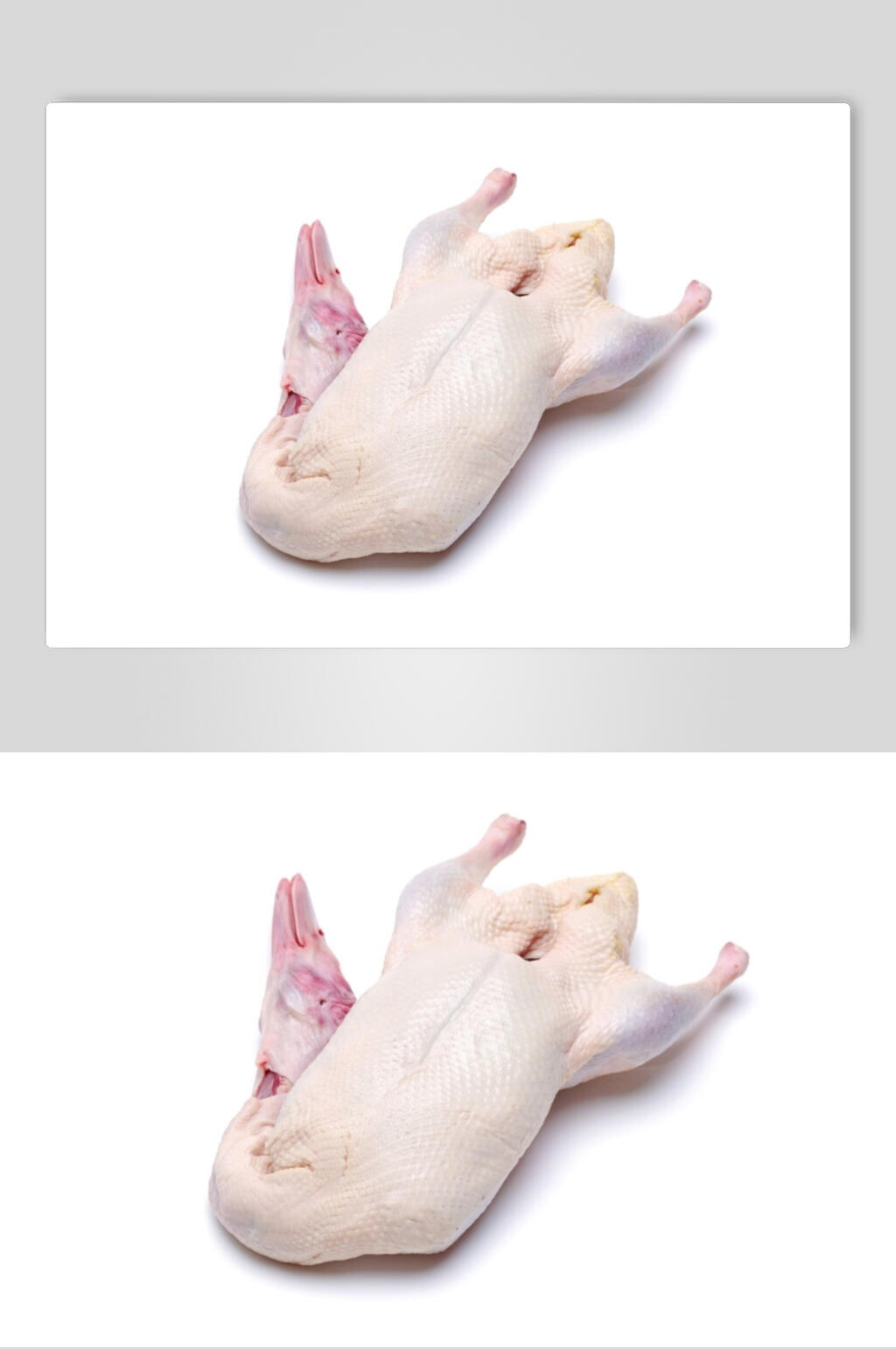新鲜美味鸭肉摄影图片素材