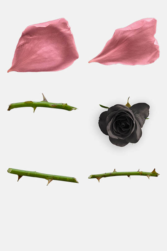 粉色玫瑰花枝免抠元素素材