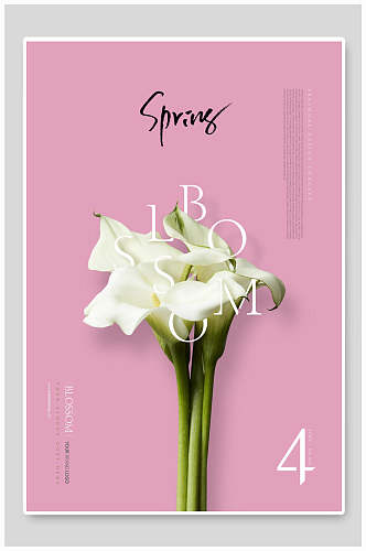 植物花卉春季海报百合花粉色浪漫