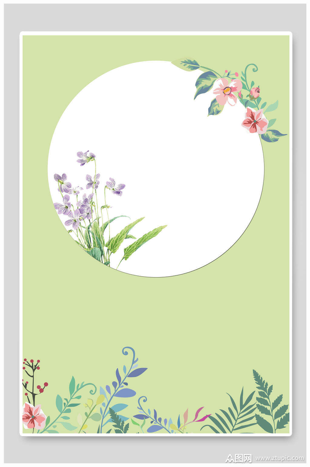 清新淡雅植物背景模版素材