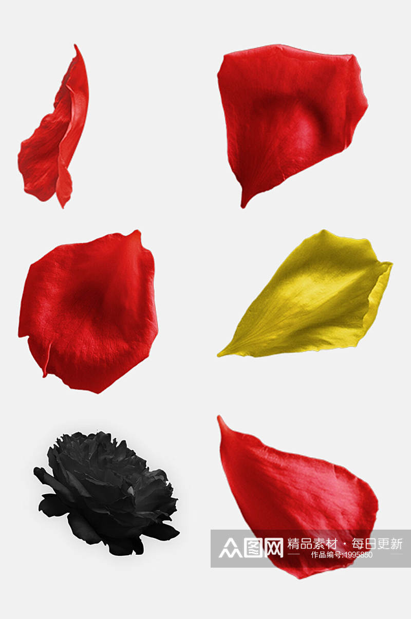 五颜六色玫瑰花瓣免抠元素素材素材