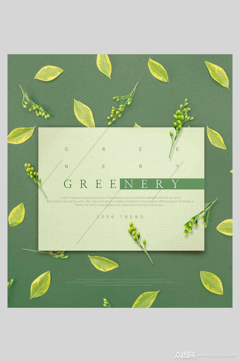 清新淡雅海报素材免费下载,本作品是由三叶草上传的原创平面广告素材