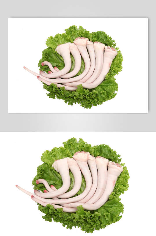 新鲜猪尾巴猪肉摄影图片