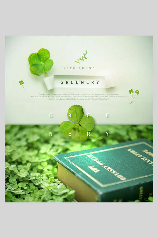 绿色植物海报植物和书本三叶草幸运草