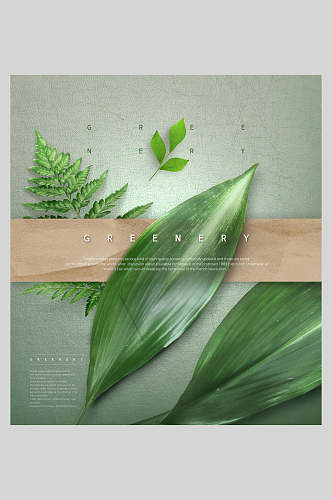 绿色植物海报叶子植物清新淡雅海报