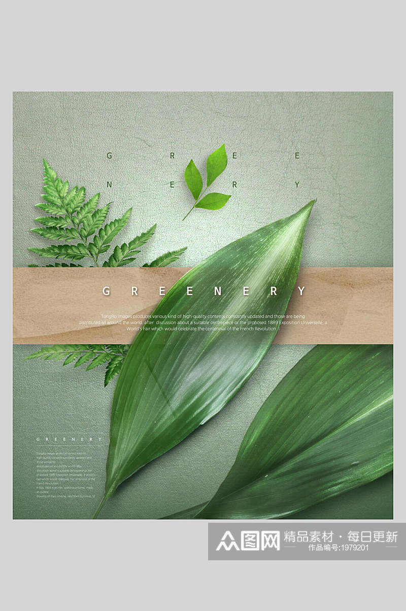 绿色植物海报叶子植物清新淡雅海报素材