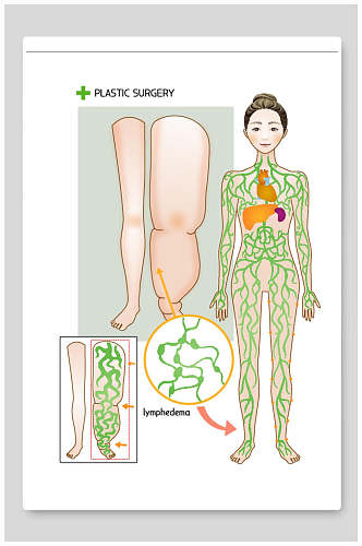 医美整形矢量素材医院腿部抽脂瘦腿