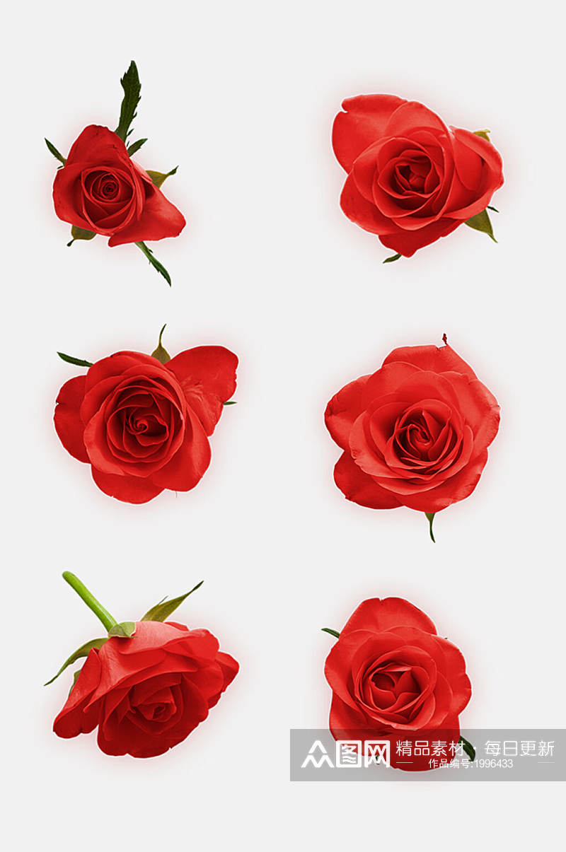 漂亮玫瑰花免抠元素素材素材