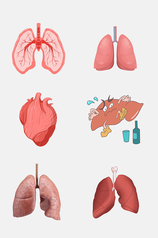 肝脏医疗图片-肝脏医疗素材下载-众图网