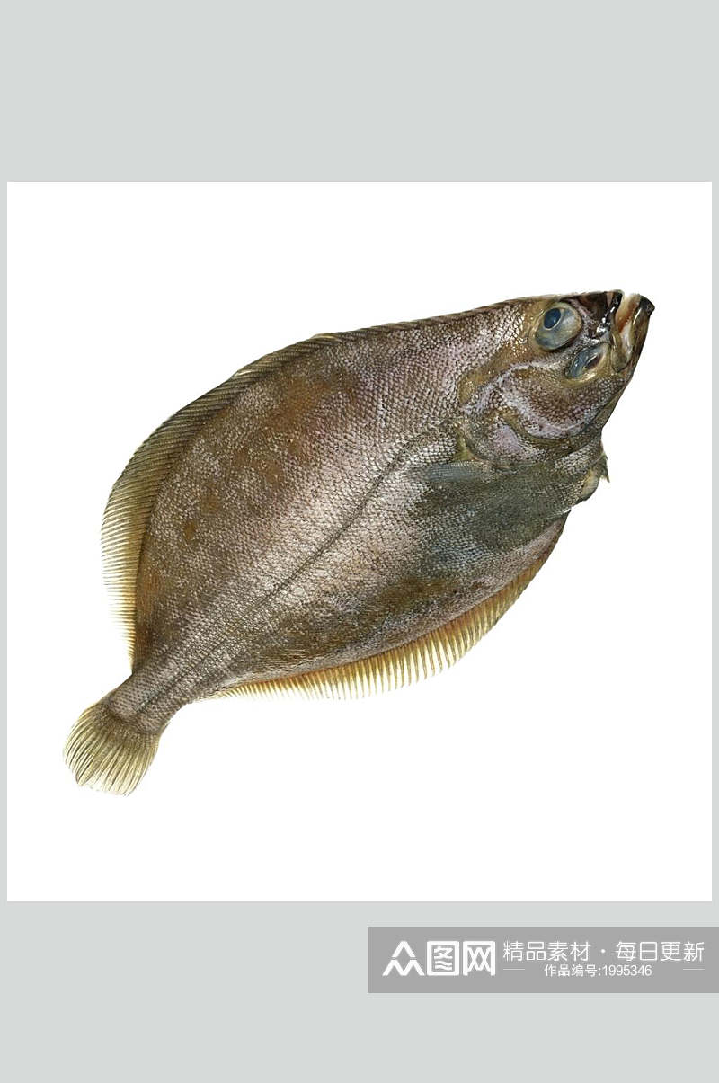 水产鱼类斑鱼餐饮高清图片素材