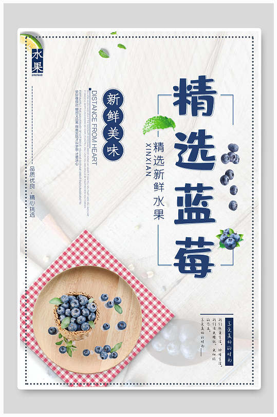 精选蓝莓水果海报