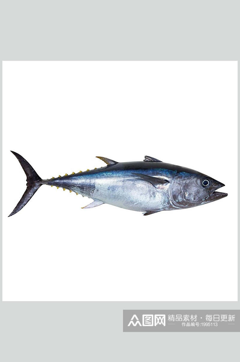 水产鱼类海鱼食物图片素材